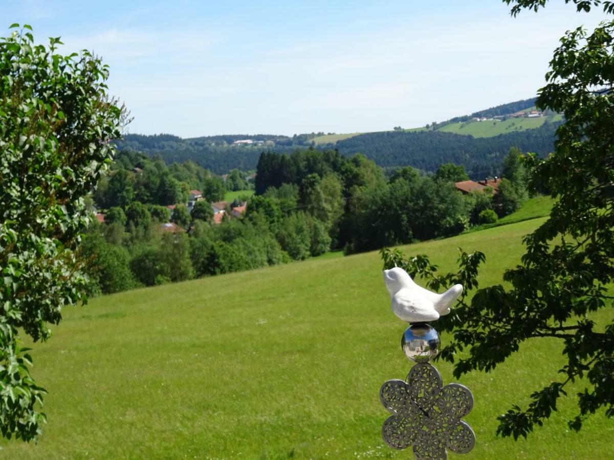 Fewo Gabi Neuschönau Exteriér fotografie