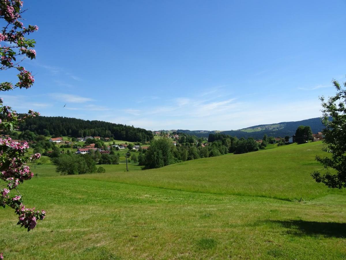 Fewo Gabi Neuschönau Exteriér fotografie
